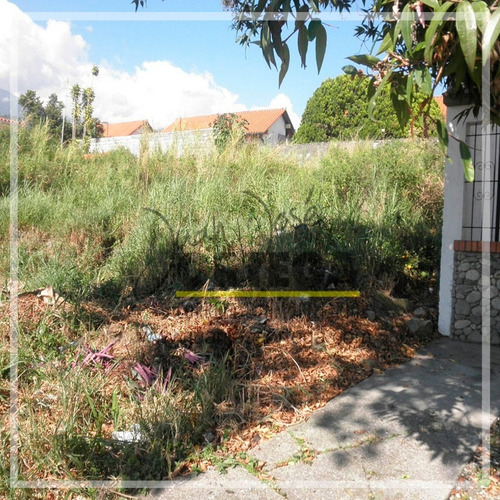 Imagen 7 de 9 de Terrenos En Venta. Urb. San Antonio.