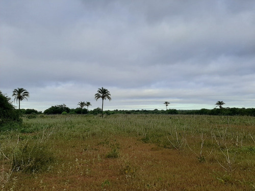 Imagem 4 de 10 de Propiedade Para Criar E Para Agricultura