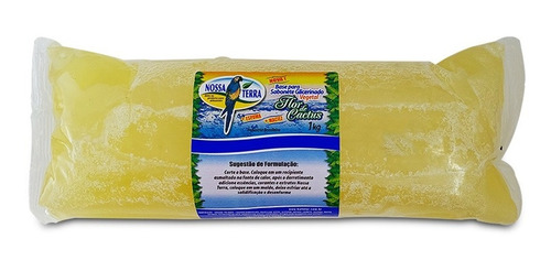 Imagem 4 de 4 de 2 Base Cactus Transparente Para Sabonete-nossa Terra-full