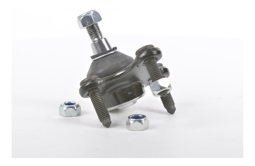 Rotula Inf Izq A3 04-17 Altea 06-15 Ateca 17-20 Beetle 12-19