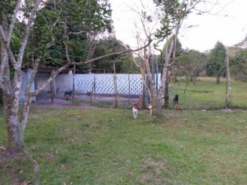 Chácara Com Piscina E 6 Canis, Em Itanhaém