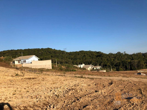Imagem 4 de 22 de Terreno À Venda, 300 M² Por R$ 99.000,00 - Desvio Rizzo - Caxias Do Sul/rs - Te0225