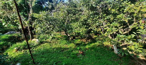 Residencia Comercial Y Confort : Tu Nuevo Hogar