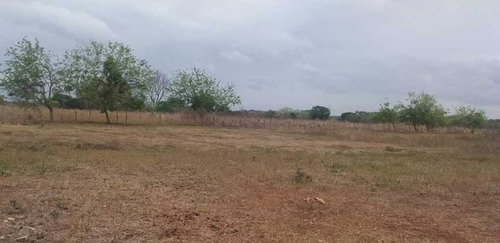 Imagen 4 de 26 de Finca En Venta ,calabozo Guarda Tinajas