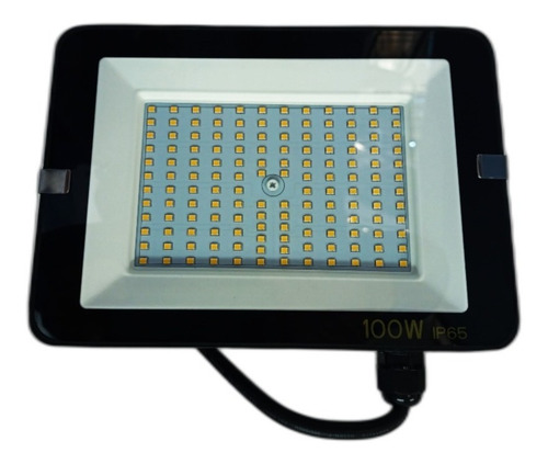 Proyector Reflector Led Bellalux 100w Luz Día Exterior