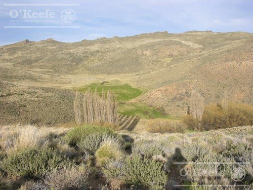 Campo En Venta De 635 Has Bariloche, Costa Del Pichileufu, Rio Negro.
