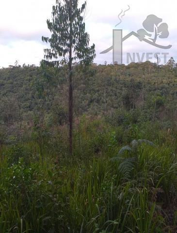 Imagem 10 de 10 de Cod 5969 - Área 4 Alqueires Em Ibiúna - 5969