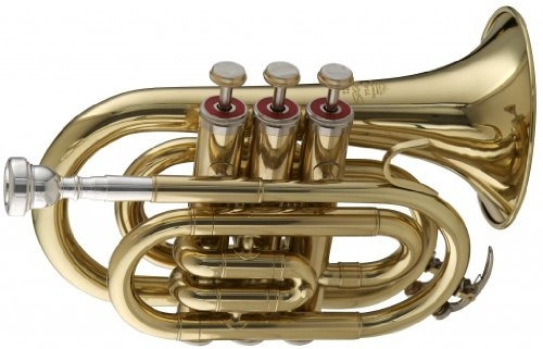 Stagg Ws Tr245 Bb Pocket Trumpet With Casemusical Instrum