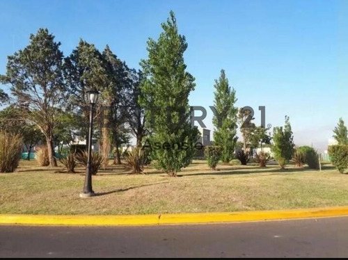 Imagen 5 de 25 de Lote Central Venta San Ramon Pilar Del Este Oportunidad