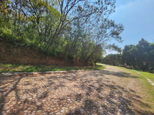 Venta De Lote San Diego 8 Sobre Boulevard Muy Cerca De Las Amenidades Y Del Hotel Del Fracc Rancho San Diego Ixtapan De La Sal Edomex. Se Incluye Proyecto