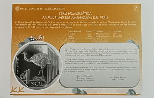 Lamina Original Del Suri De Fauna Silvestre Del Perú