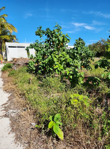 Remato Terreno En Chuburná Puerto 90 Metros De La Playa