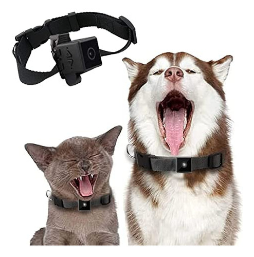 No Necesita Wifi Camara Cuello Para Mascota Gato Vision Mini