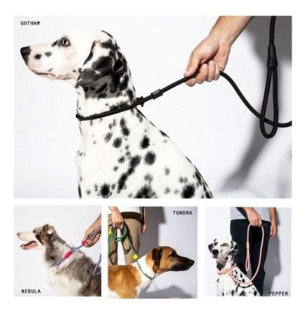 Zee.dog® Vortex Rope Correa Para Perros