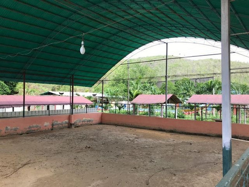 Raiza Suarez Vende Granja Turística En La Ensenada, A Solo Minutos De Barquisimeto Y Yaritagua, Licencia De Licores, Piscina, Cancha De Bolas, Salón De Fiestas, Dos Restaurantes, Caney 2 3 3 3 2 4 8
