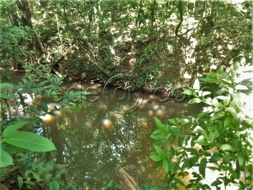 Imagem 17 de 22 de Chácara Com 27.000m2, Casa Rústica, 2 Córregos, 5 Km Da Cidade, Cercada - Pirenópolis - Go - Ch00002 - 68069363