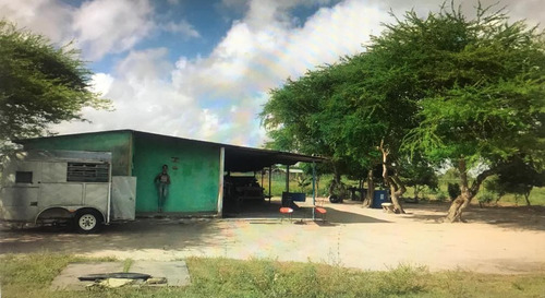 Imagen 8 de 9 de Se Vende Finca En Curiepe, Maturin Ve02-1352cem-scor