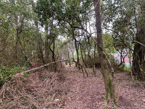 Terreno Construccion En Pucón