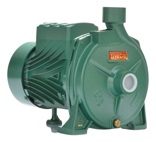 Bomba De Água Thebe B-13 1 Cv 127/220 V Cor Verde Fase elétrica Monofásica Frequência 60 Hz 110V/220V