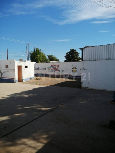 Imagen 9 de 17 de Se Renta Terreno Comercial En Providencia.