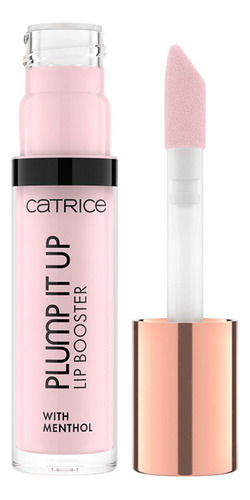 Labial Voluminizador Catrice Plump It Up Acabado Brillante Color 020 No Fake Love