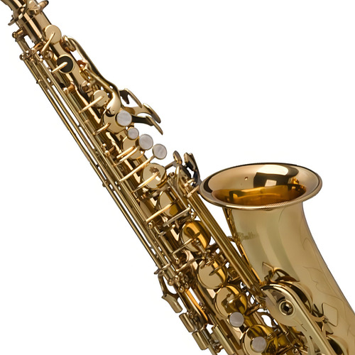 Sax Alto Shelter Laqueado Dourado Sgft6430l
