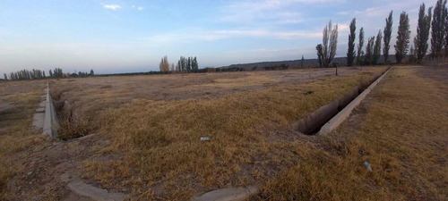 Imagen 7 de 8 de Venta Lote El Carrascal Maipu - Mendoza