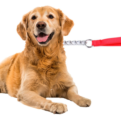 Imagem 3 de 6 de Guia Pet Resistente 1,2 M Cachorro Passeio Corrente Cães