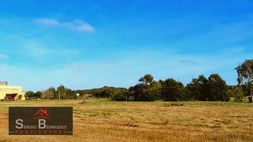 Imagen 4 de 7 de Lote Km 314 - Las Toninas