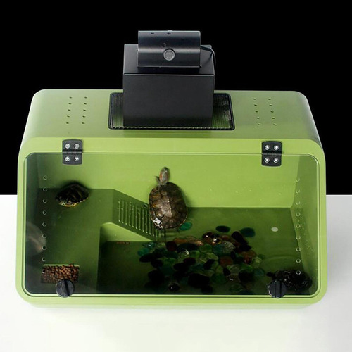 Accesorios Para Tanques De Tortugas Plataforma Para Verde