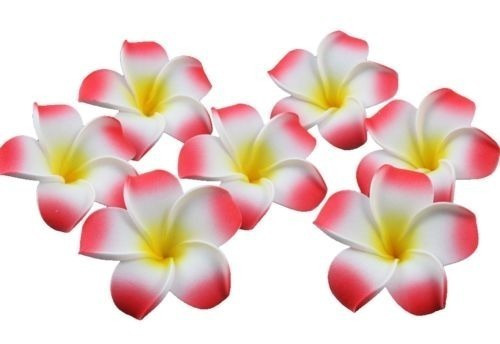 100 X Plumeria Espuma Hawaiana Frangipani Pétalos De Flores 