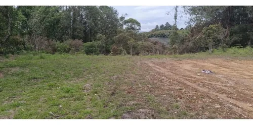 Rhbr-14718 (lote) (guarne)