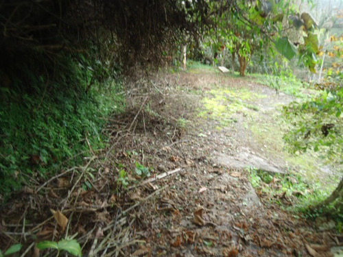 Imagem 2 de 14 de Chácara Para Moradia Ou Lazer Ref 1293