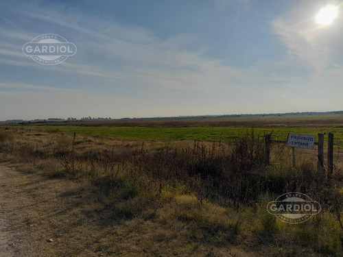 Venta De Campo En Nueva Helvecia, Departamento De Colonia.