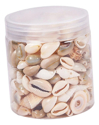 Feitiços De Artesanato Para Conchas Na Praia Do Oceano