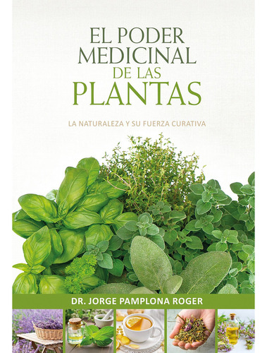 Detalladas Ilustraciones Botánicas De Cada Una Delas Plantas