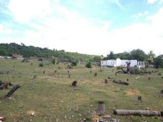 Imagem 3 de 8 de Terreno À Venda, 14000 M² Por R$ 800.000,00 - Distrito Industrial - São Gonçalo Do Amarante/rn - Te0690