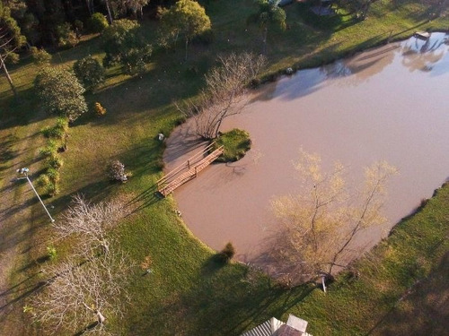 Imagem 2 de 29 de Fazenda À Venda Na Francisco Schena, Roseira, Campina Grande Do Sul - Pr - Liv-17183