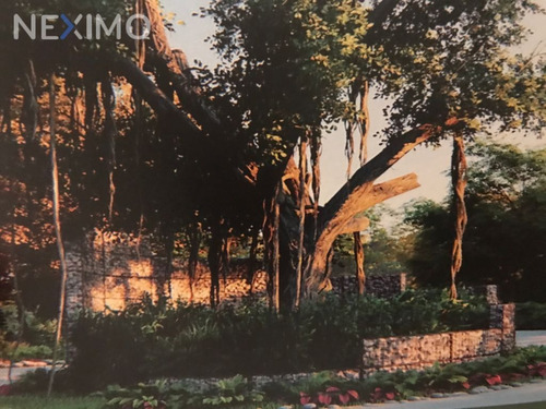 Imagen 1 de 3 de Lote Residencial En Venta Chicxulub
