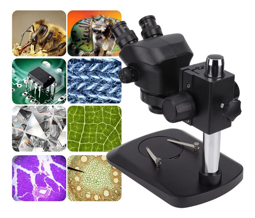 Kit De Microscopio Binocular Ligero, Estéreo Binocular 10x
