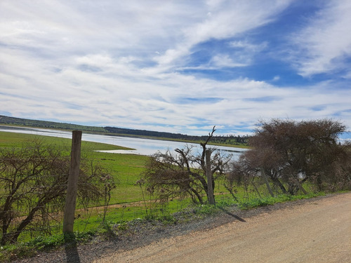 Parcela 5000 Mts2 Con Luz. Marchihue. Sector Alcones Embalse