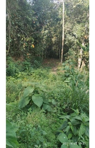 Imagen 8 de 13 de Venta De Lote De Terreno De Cuatro Hectáreas San Diego Carrizal