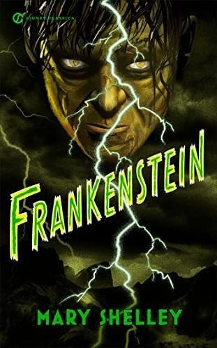 Libro Frankenstein- Mary Shelley-inglés