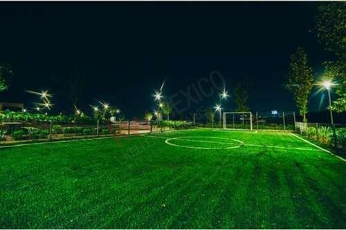 Imagen 5 de 25 de Tu Casa En Un Oasis En Medio De La Ciudad