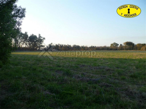 1712 -hp-2 Fraciones De 4.5 + 4.26 Ha Ruta 28 Pilar