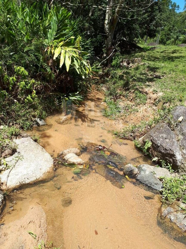 Imagem 6 de 26 de Chácara À Venda Em Canelinha/sc - 1026c