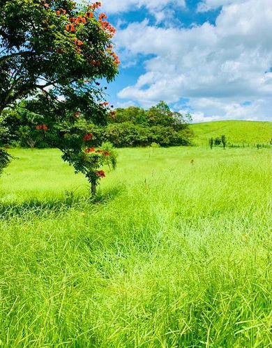 Imagem 9 de 14 de F15 - Lotes De 10.000mts Direto Com O Proprietario