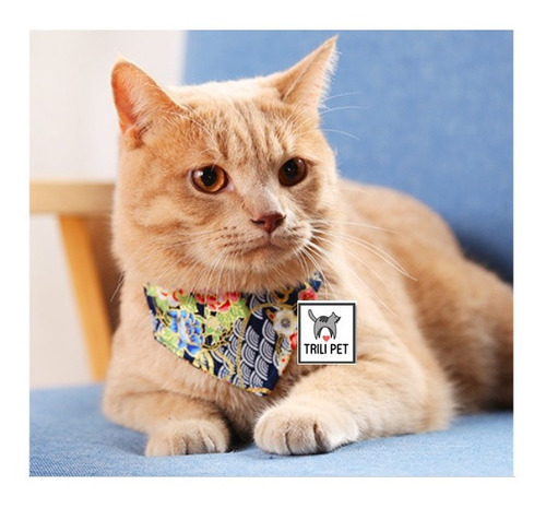 Collar Para Perro-gato Pañoleta Ajustable Diseños!!