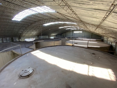 Imagen 13 de 19 de Excelente Oportunidad En San Rafael Se Vende Bodega