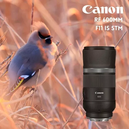 Lente Canon RF 600mm f/11 IS STM –